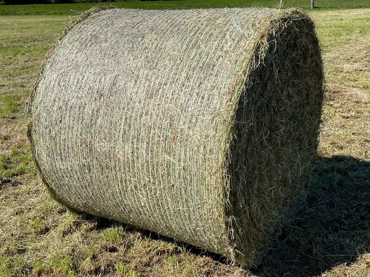 Haylage bales - Image 3