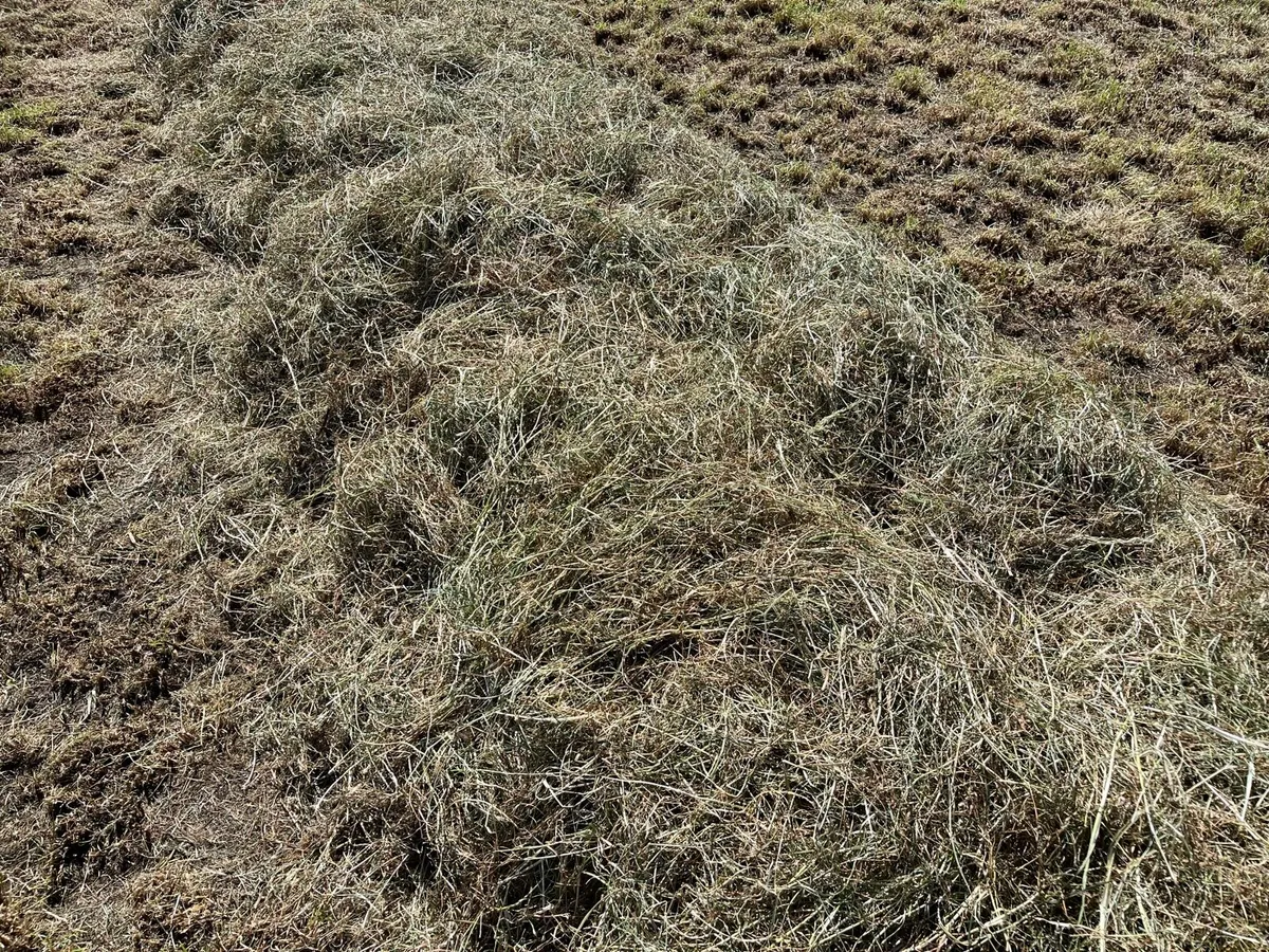 Haylage bales - Image 4