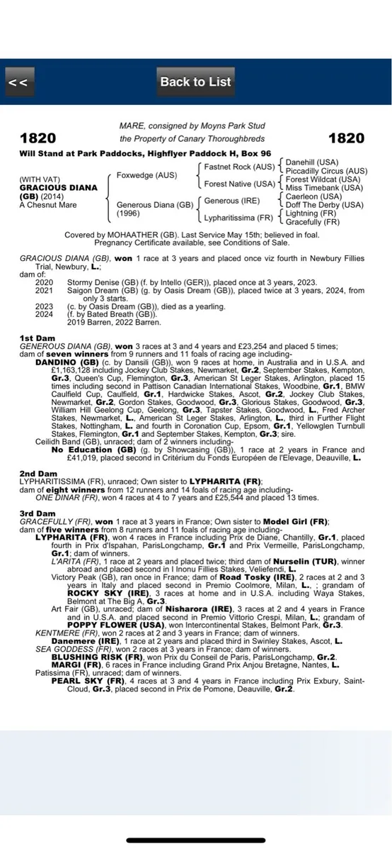 Thoroughbred Mare - Image 2