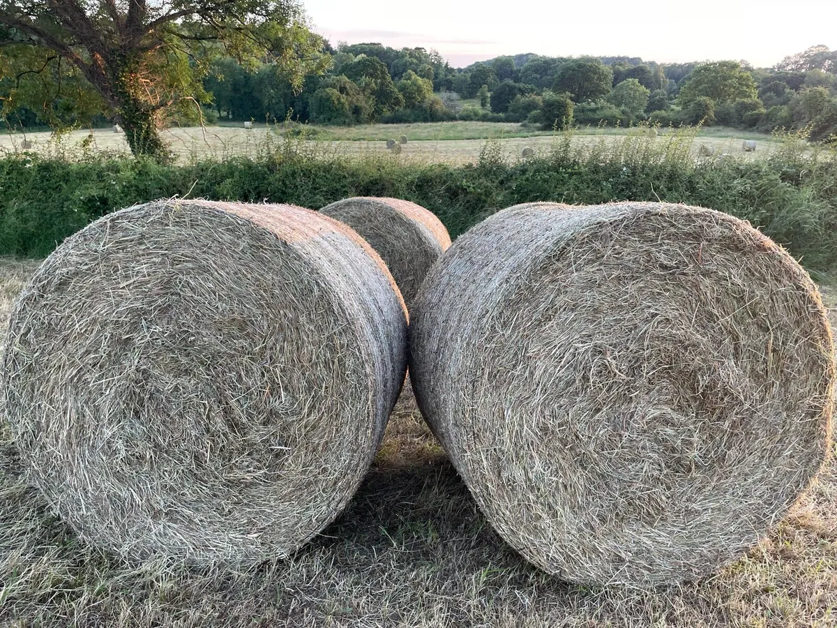 Hay Bales