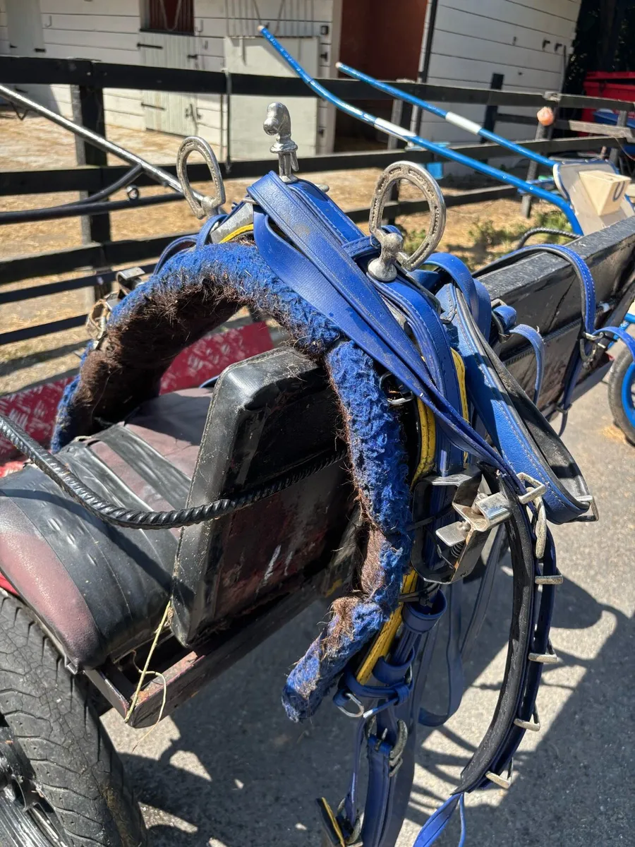 Road Cart an Harness full size - Image 3