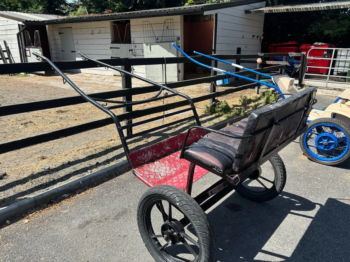 Road Cart an Harness full size - Image 1