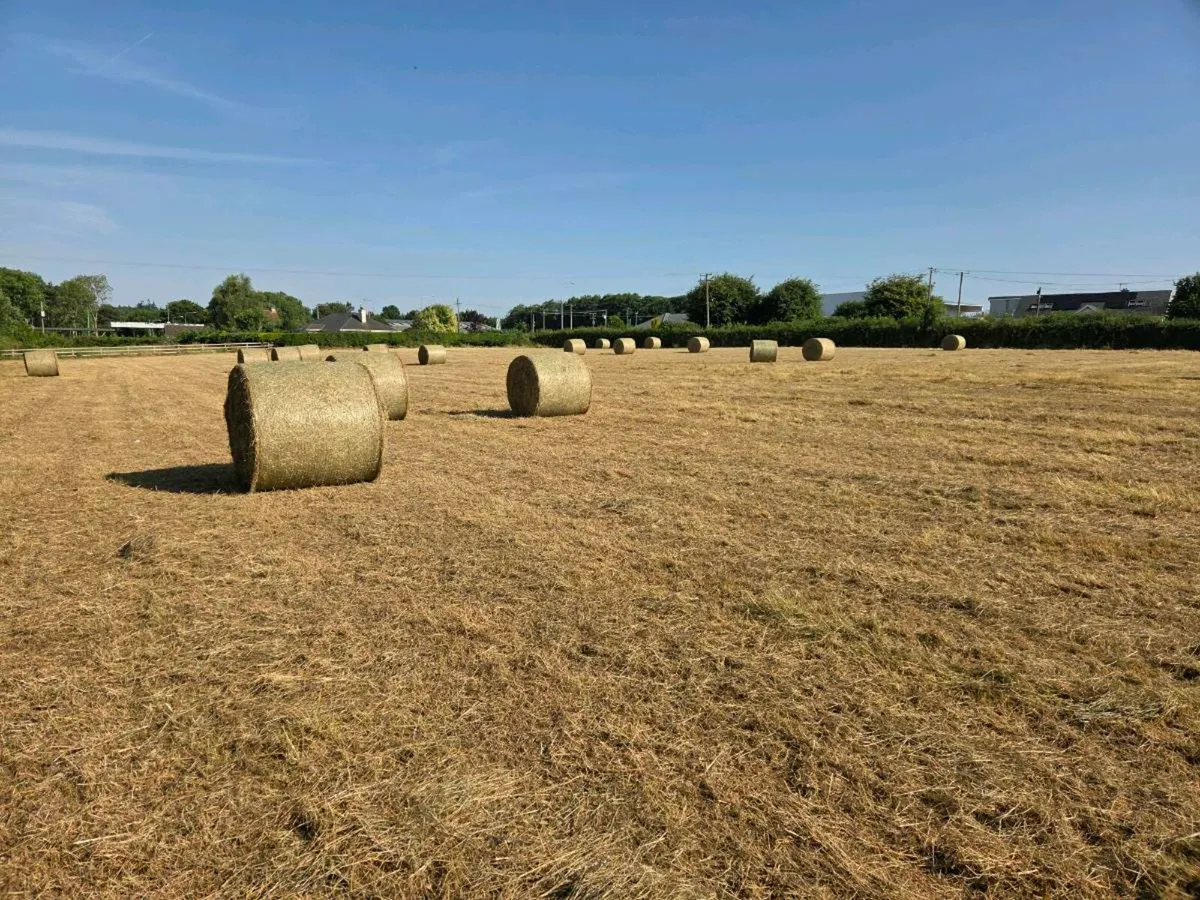 18 ROUND HAY BALES