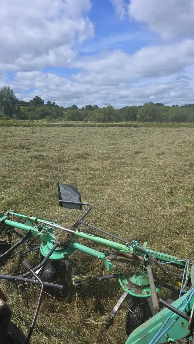 Hay - Image 4