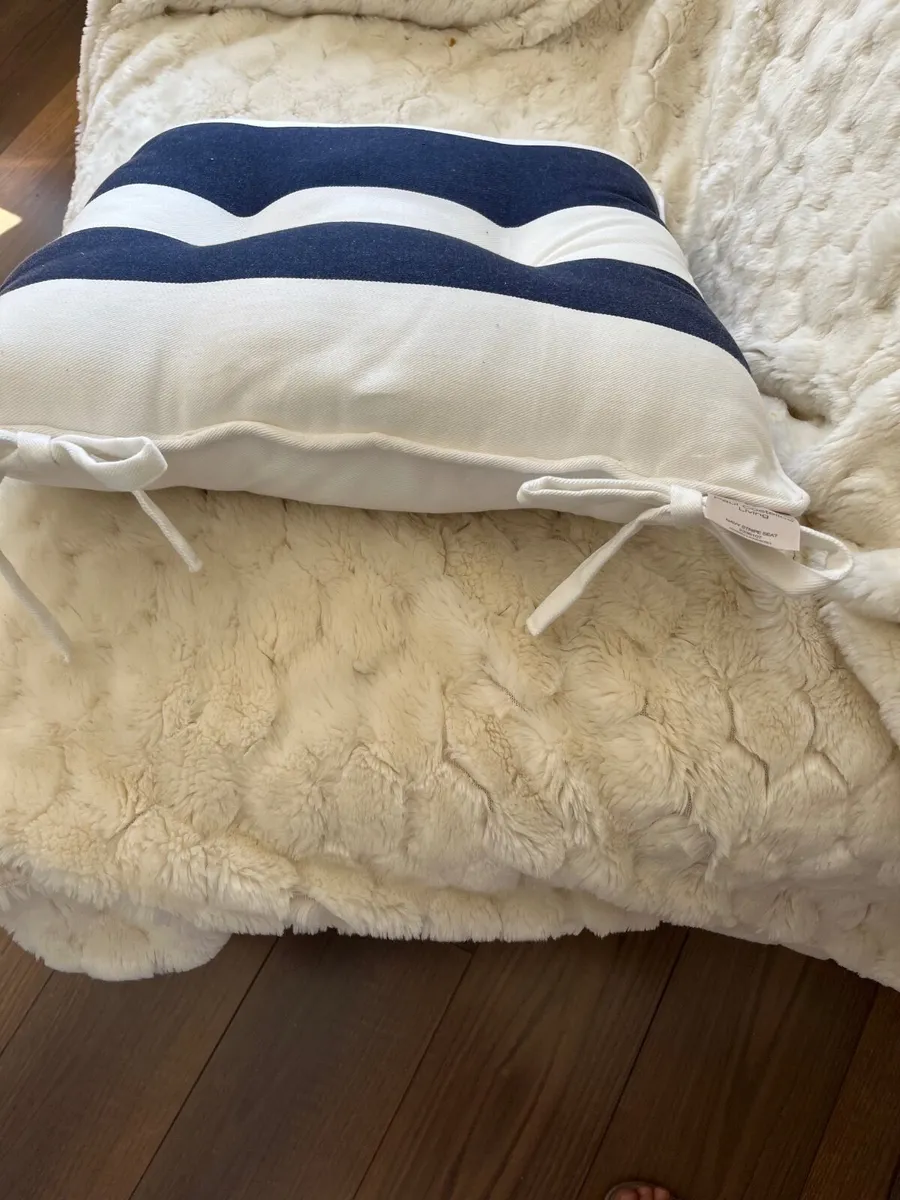 Paul Costelloe Living Chair Cushion - Image 1
