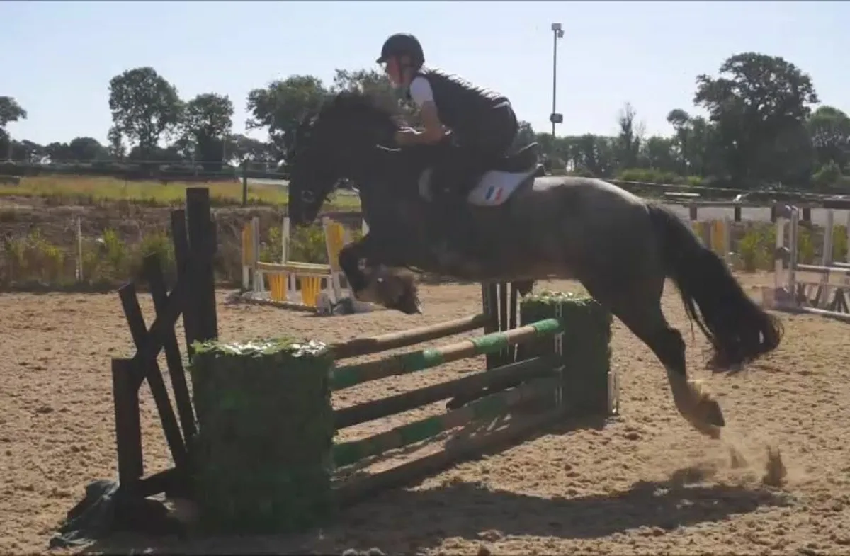 🌟Super 15.1h Cob🌟 - Image 3