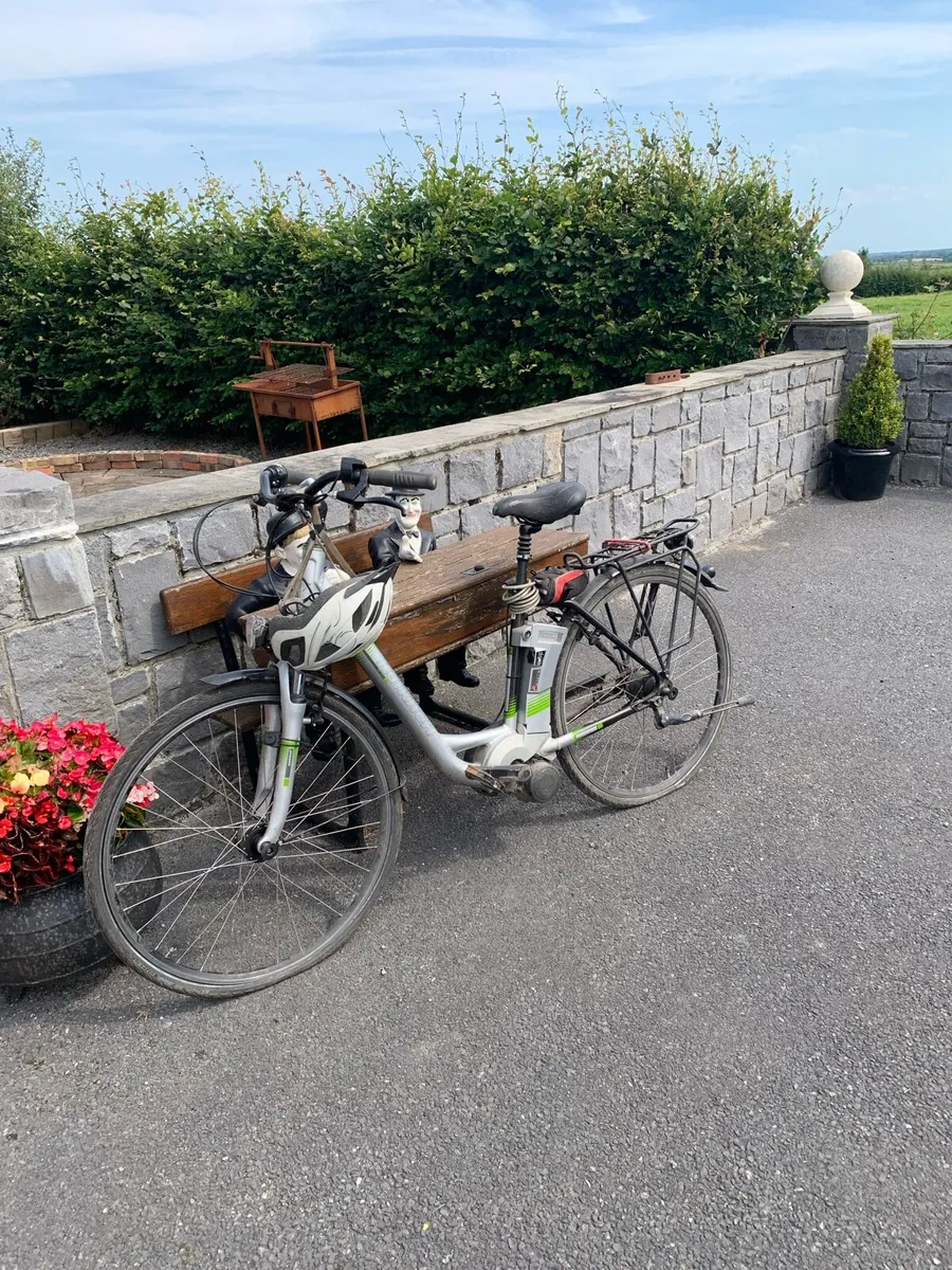 Electric Bike - Image 1