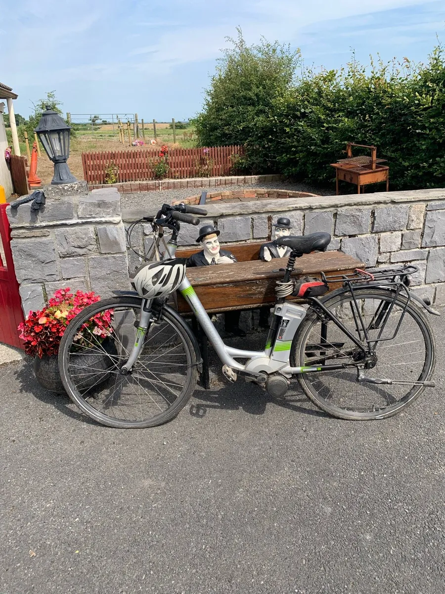 Electric Bike - Image 3