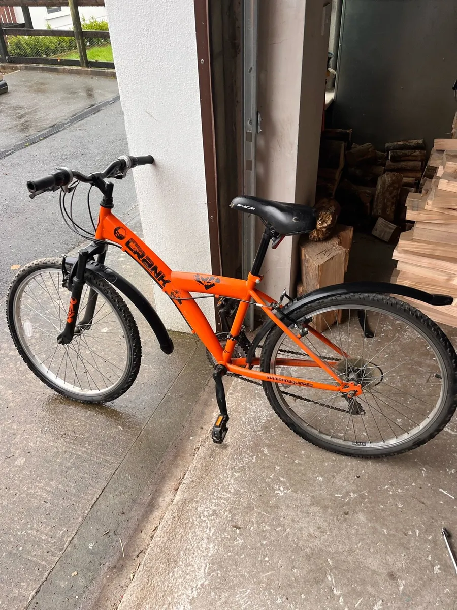 Bicycle - Image 1