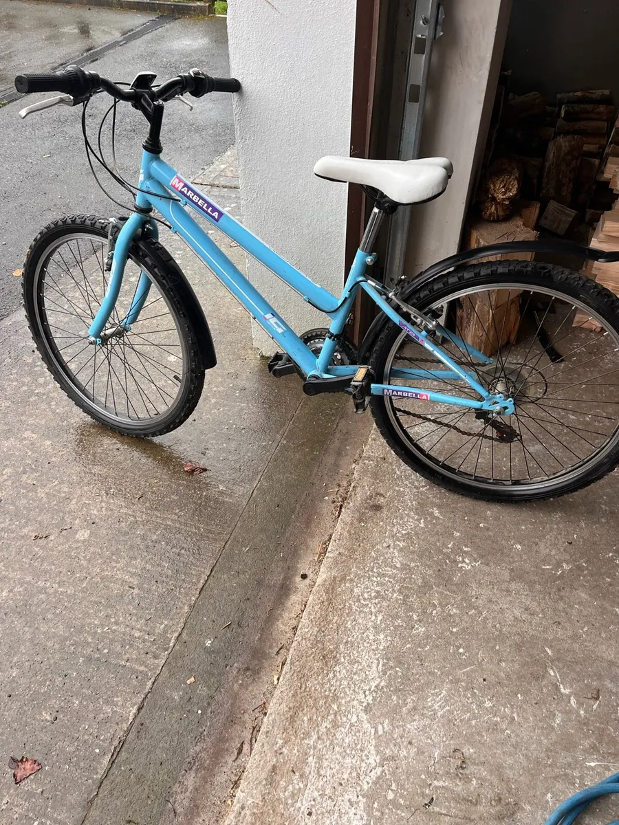Bicycle - Image 2