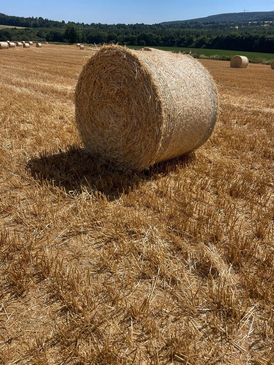 Straw