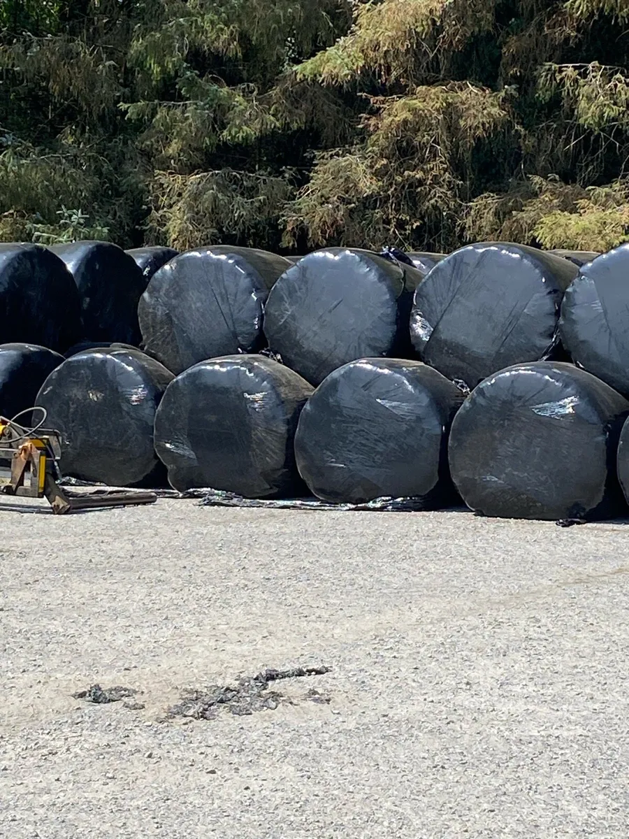 Hay/Haylage/Silage - Image 3