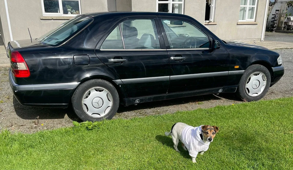 Mercedes w202 C 250 D 1994 - Image 4
