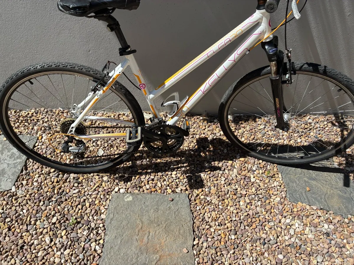 Adult Bicycle for sale - Image 3