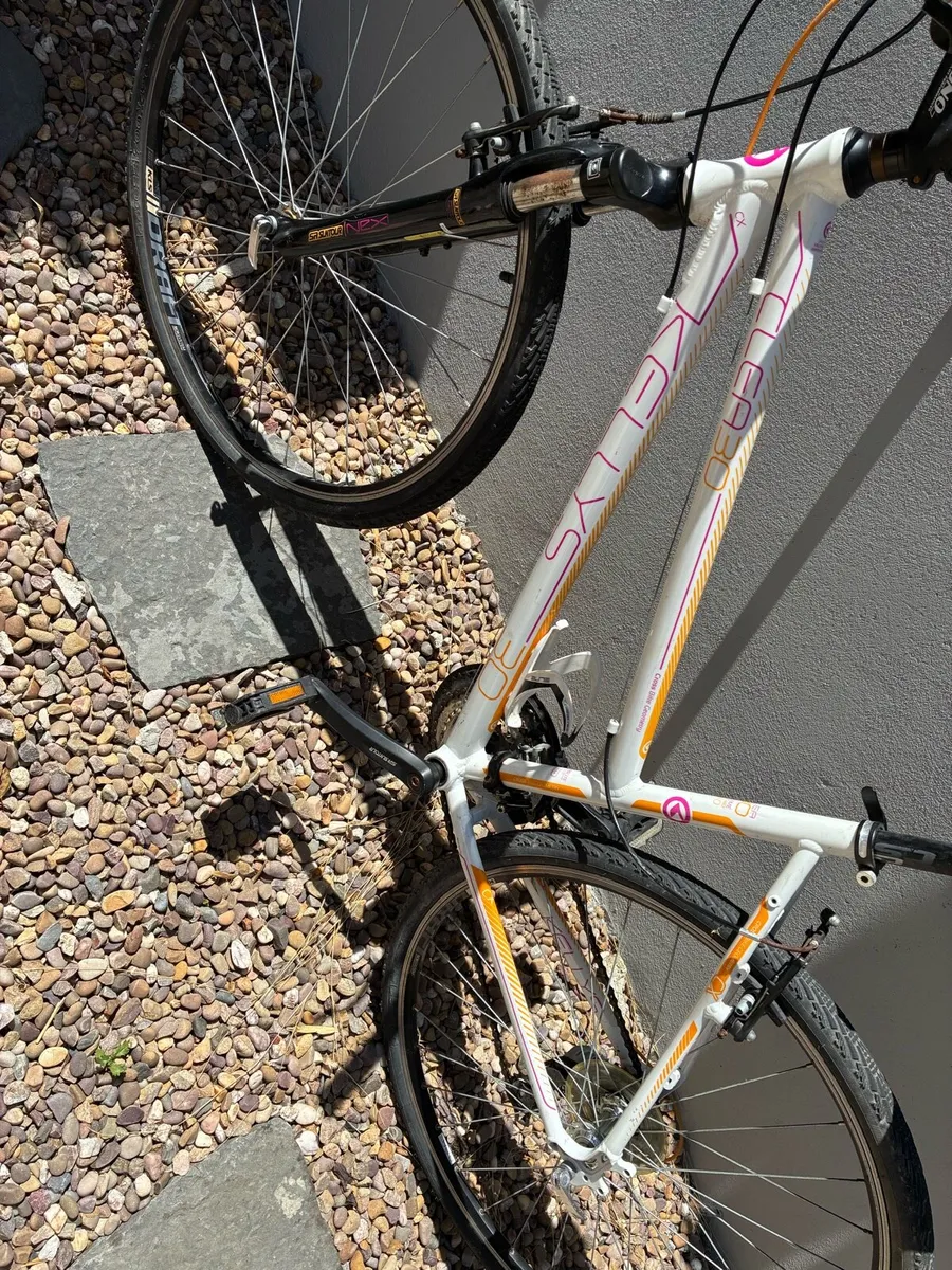 Adult Bicycle for sale - Image 4