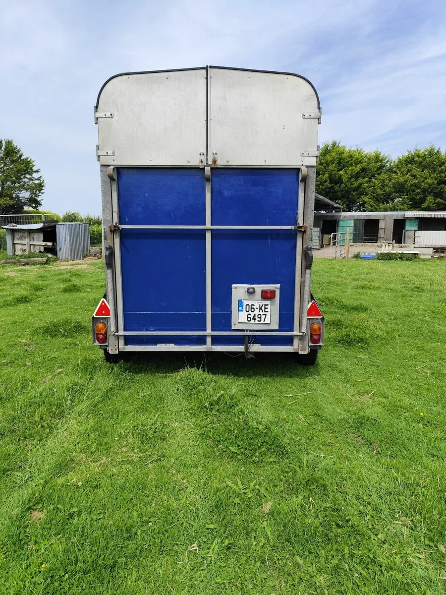 Horsebox - Image 4