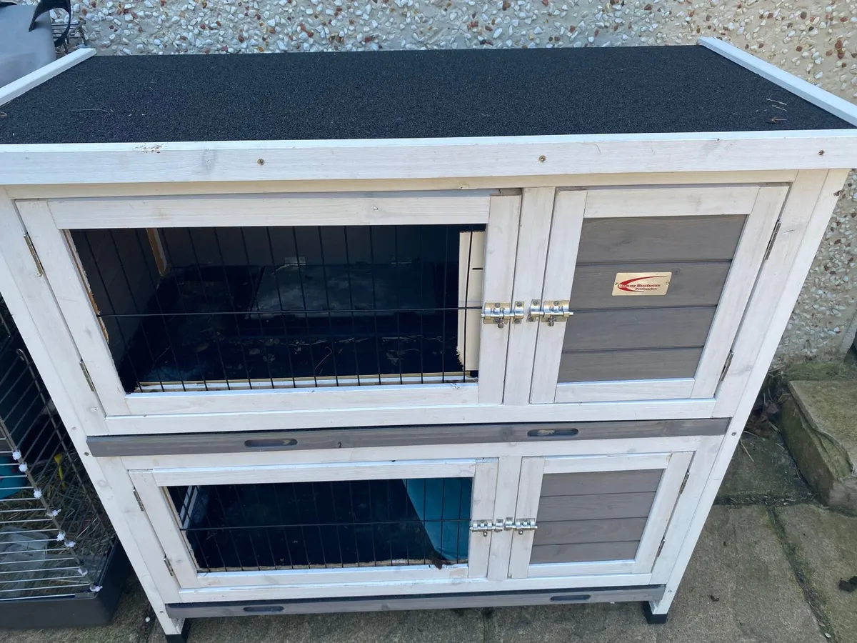 Guinea pig hutch - Image 1