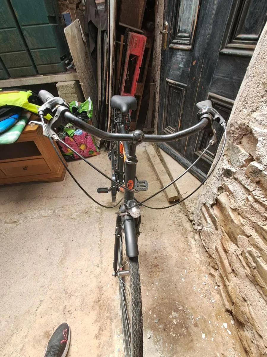 Adults bike - Image 2