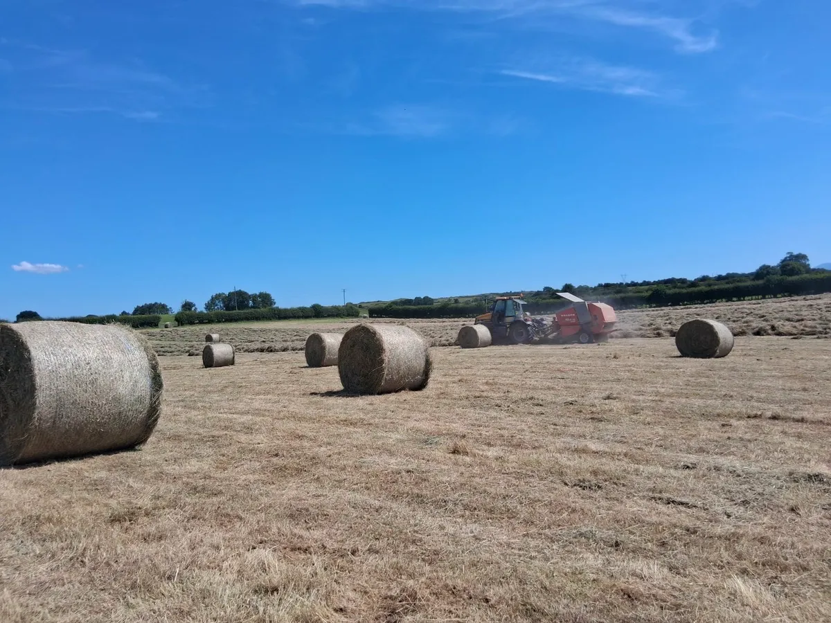Hay for sale - Image 1