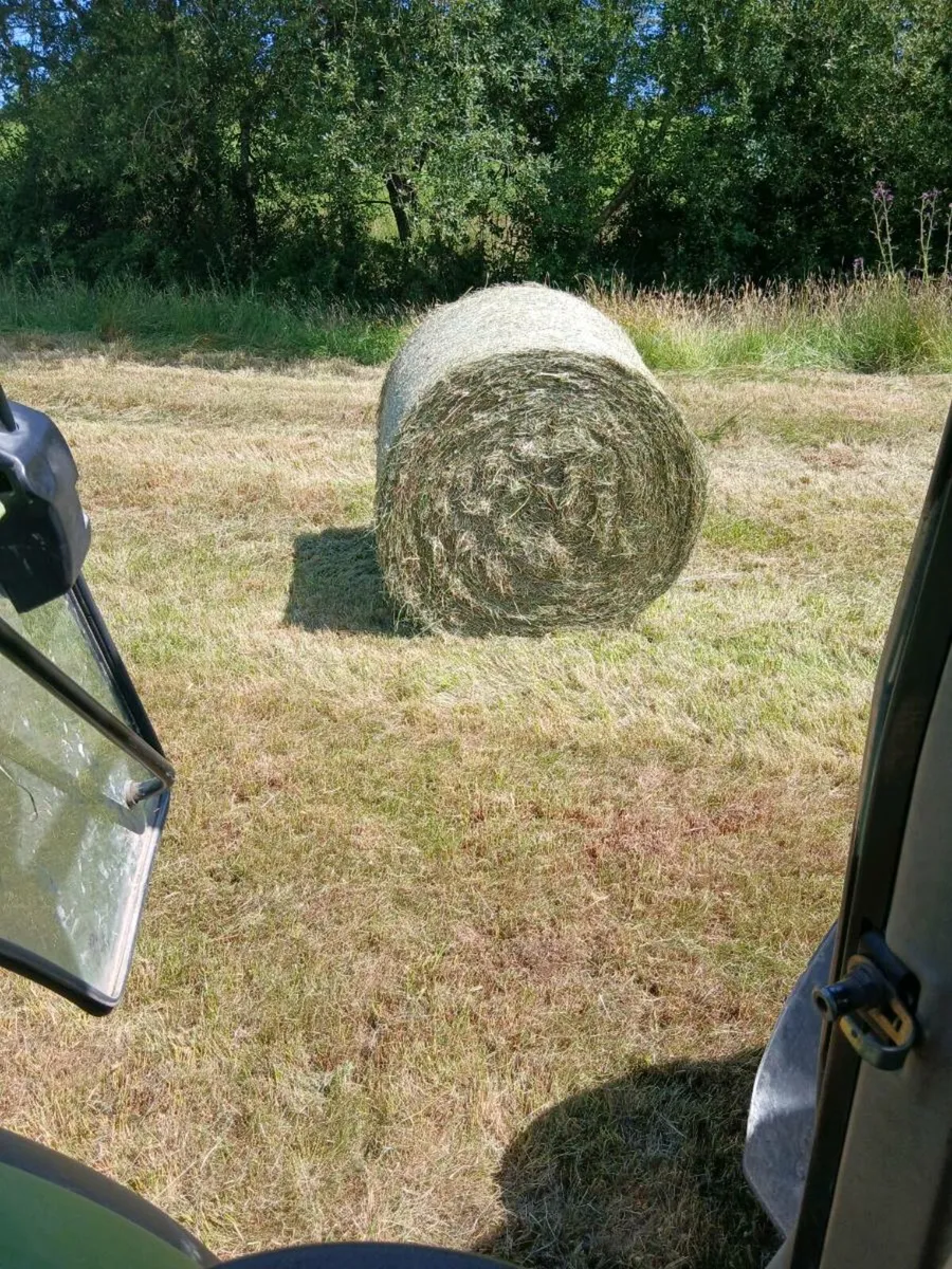 Hay - Image 2