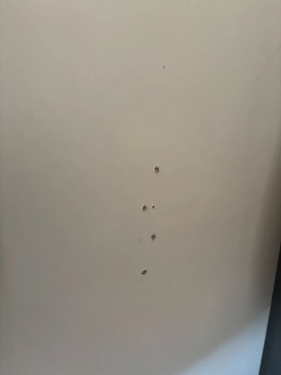Ikea Pax Wardrobe with door & internal drawers - Image 3
