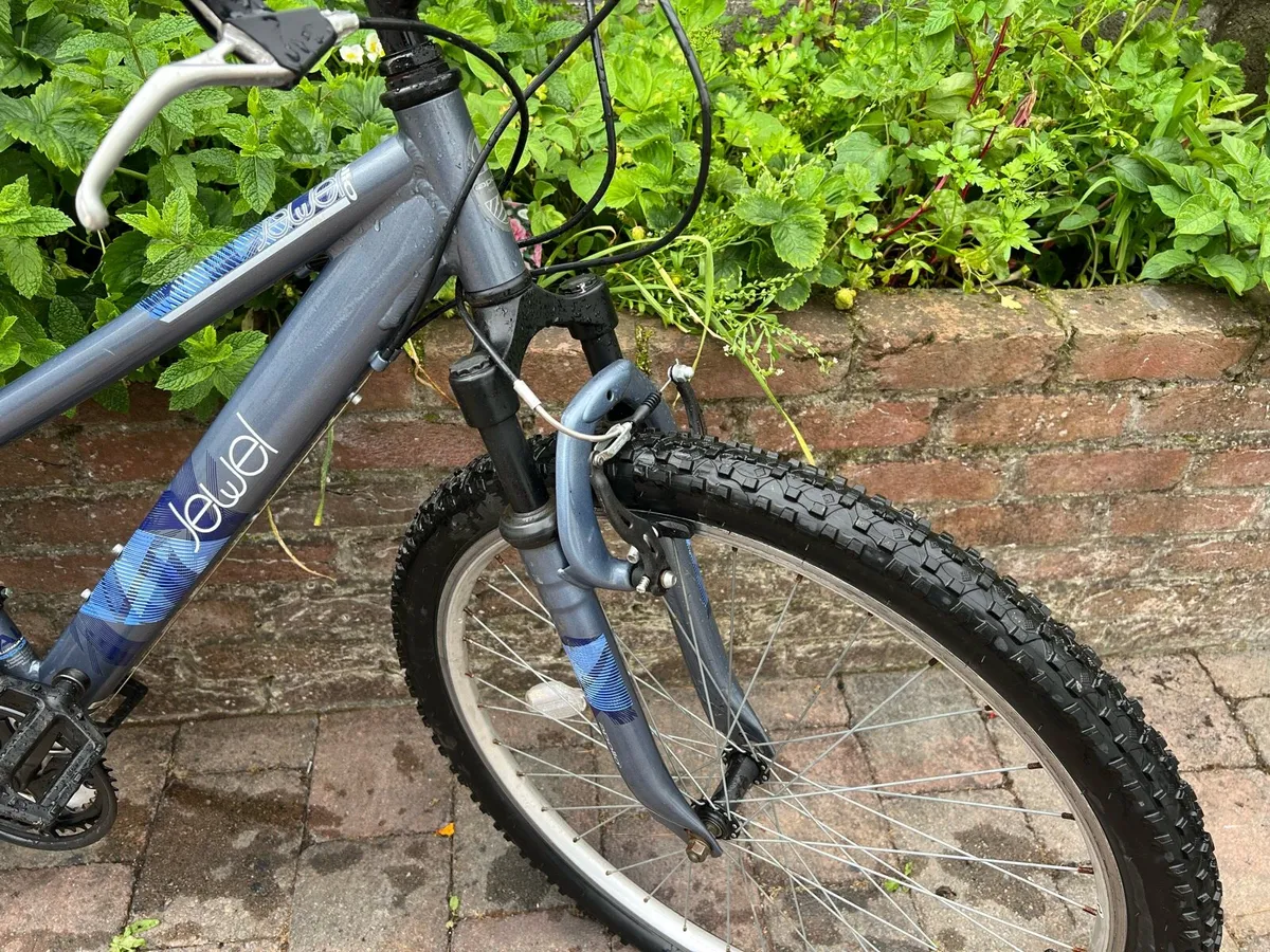 Apollo Mountain Bike Like New 100% Great Condition - Image 4