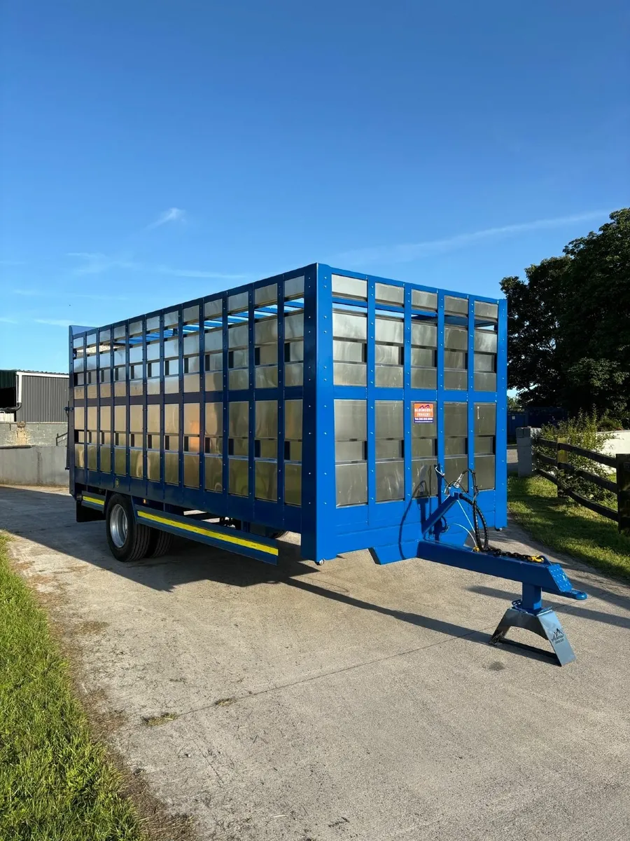18FT Bluemount Livestock Trailer IN STOCK - Image 2