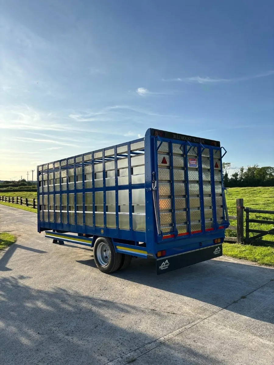 18FT Bluemount Livestock Trailer IN STOCK - Image 1