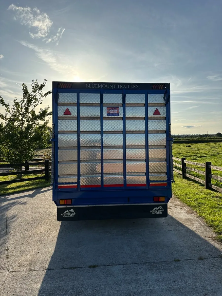 18FT Bluemount Livestock Trailer IN STOCK - Image 3
