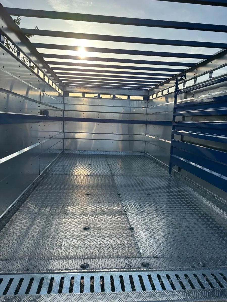 18FT Bluemount Livestock Trailer IN STOCK - Image 4