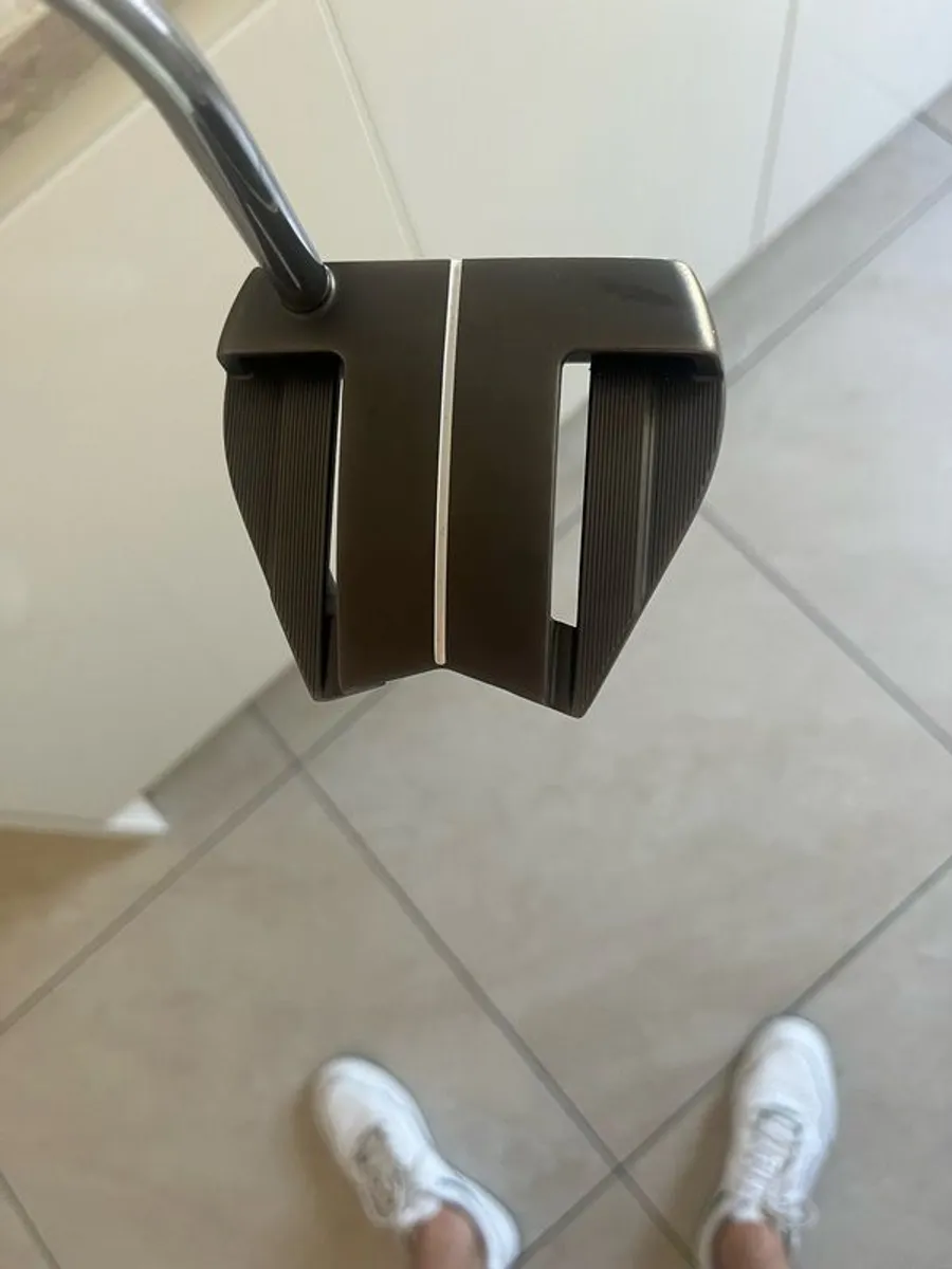 Cobra Vintage putter - Image 2