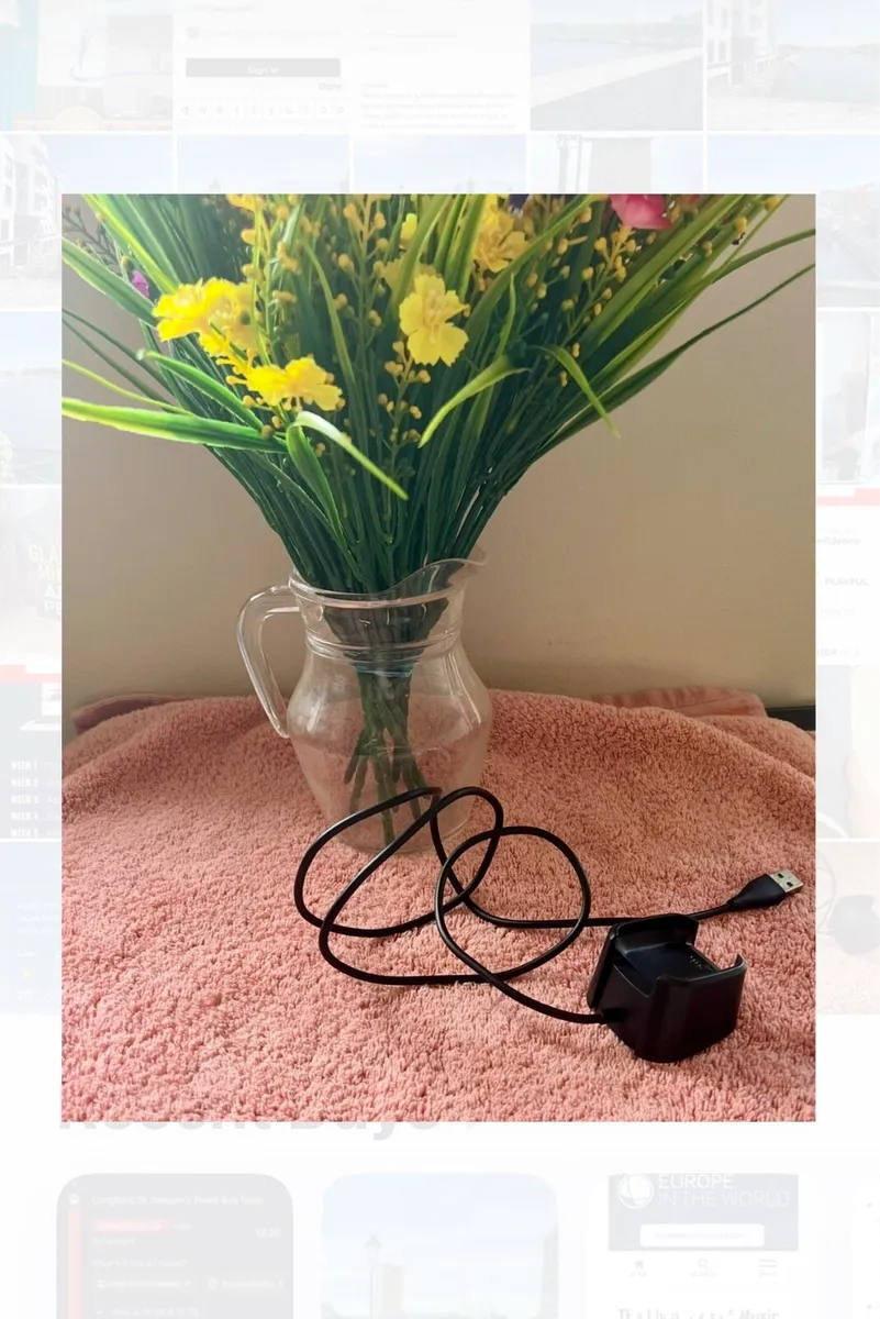 Fitbit versa charger - Image 1