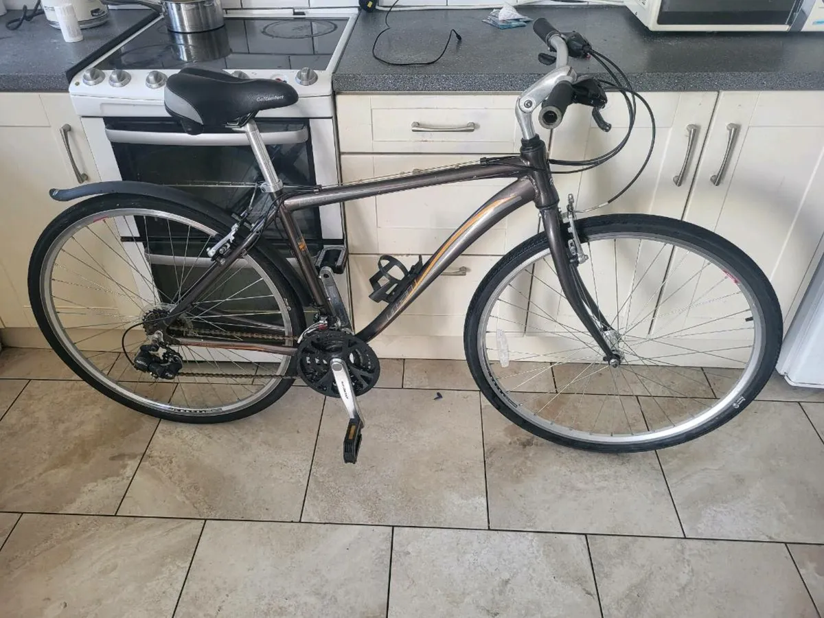 Raleigh Hybrid bike - Image 1