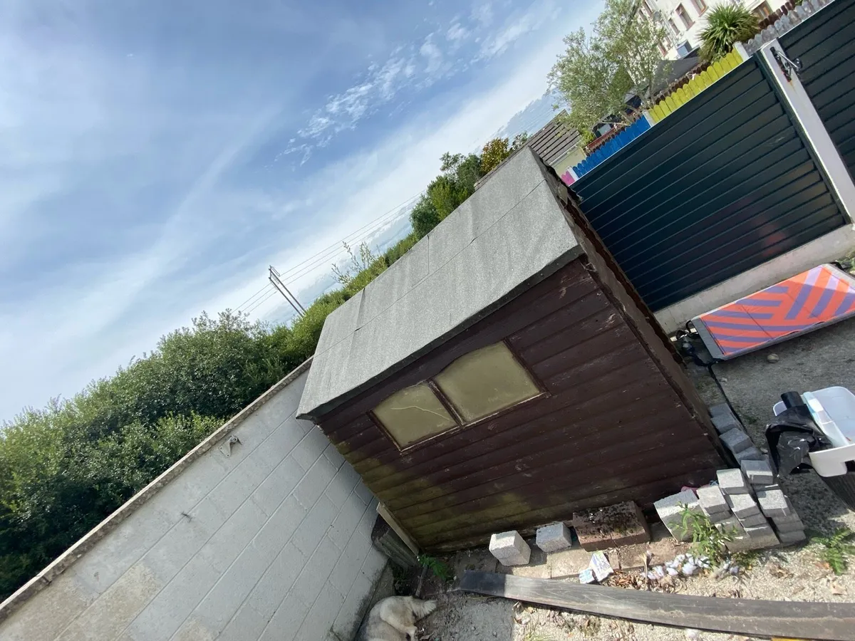 Garden shed wooden 240cm x 180cm - Image 4