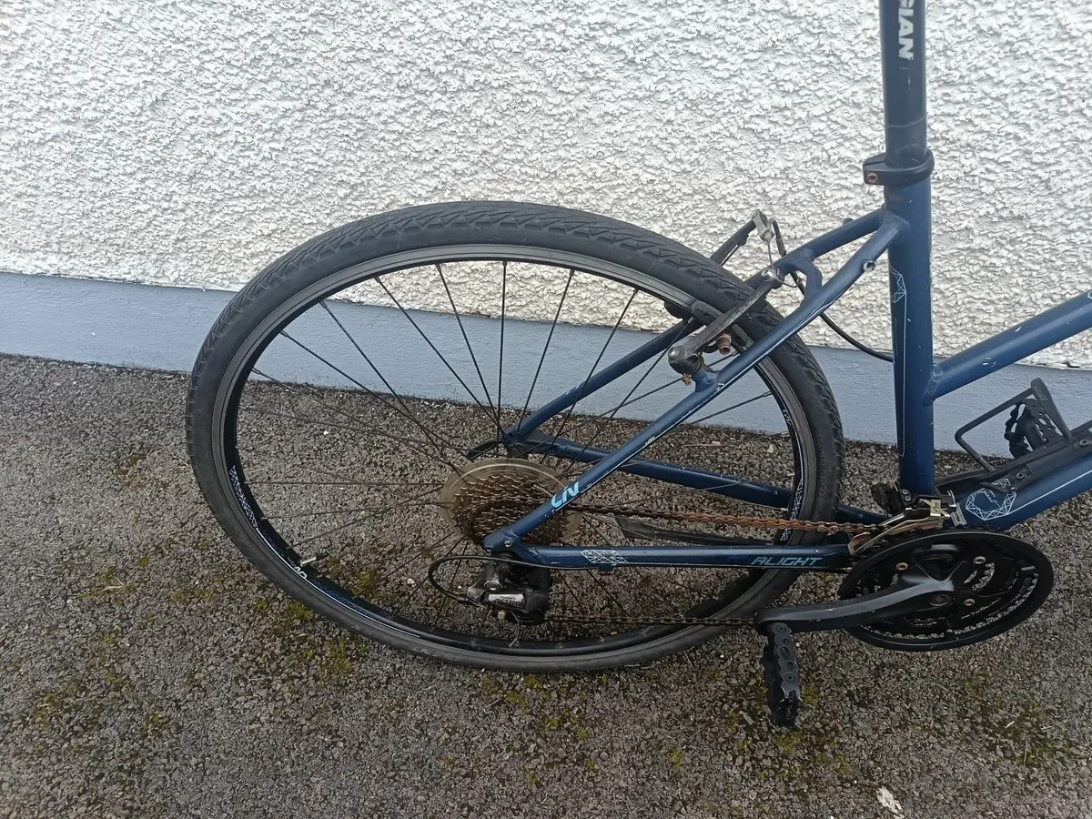 Liv Hybrid Bike - Image 3