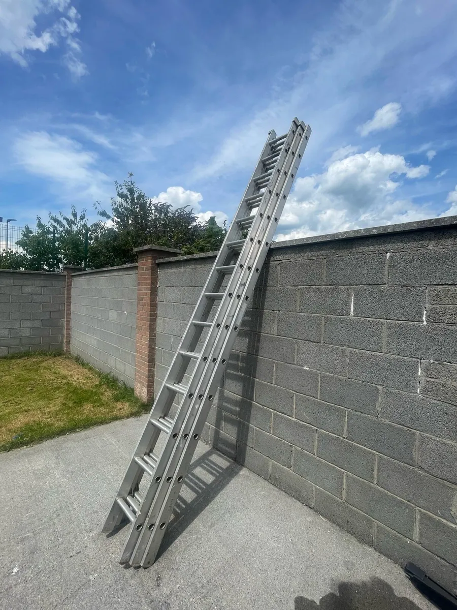 Stradbally ladders 3x14s 42 foot - Image 1