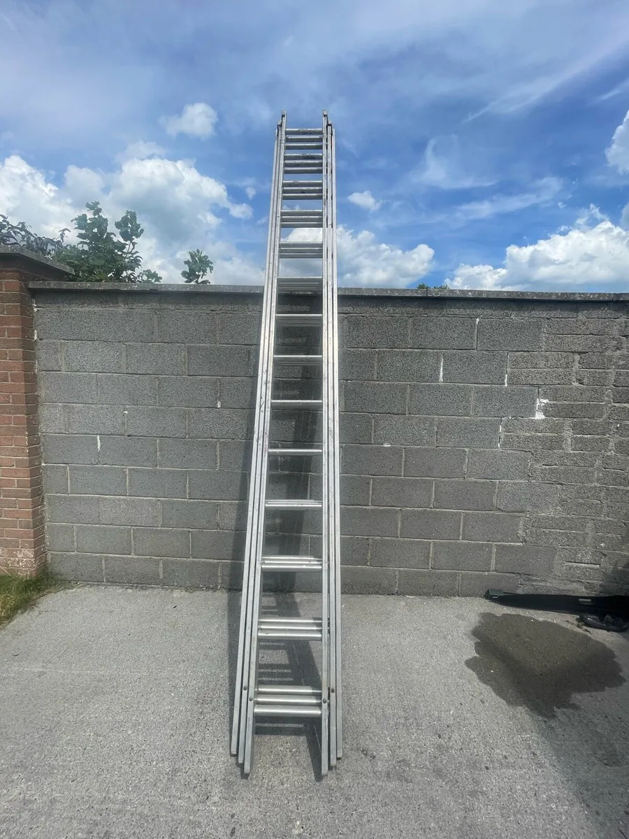 Stradbally ladders 3x14s 42 foot - Image 2