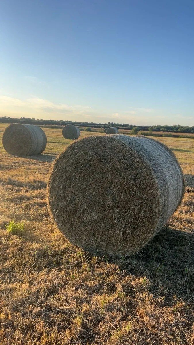 Hay bales