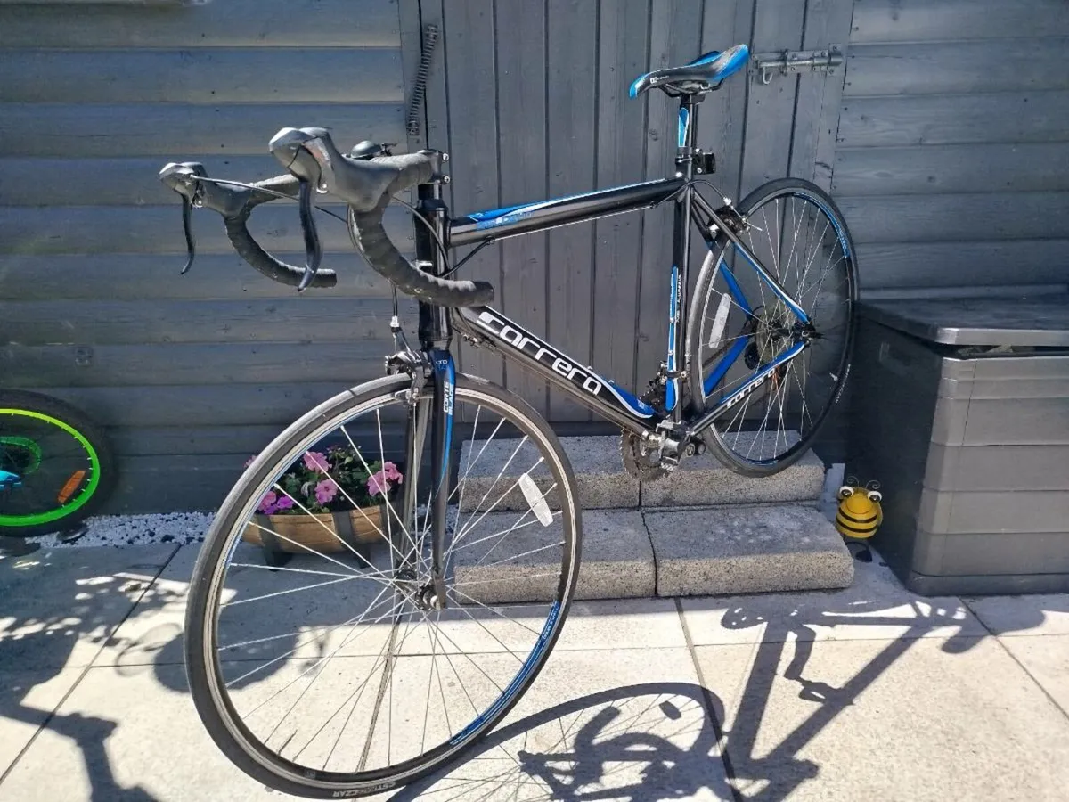 Carrera zelos ltd - Image 2