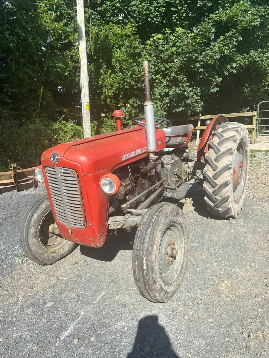 Massey Ferguson 35 Used Daily mower/back box incl - Image 1