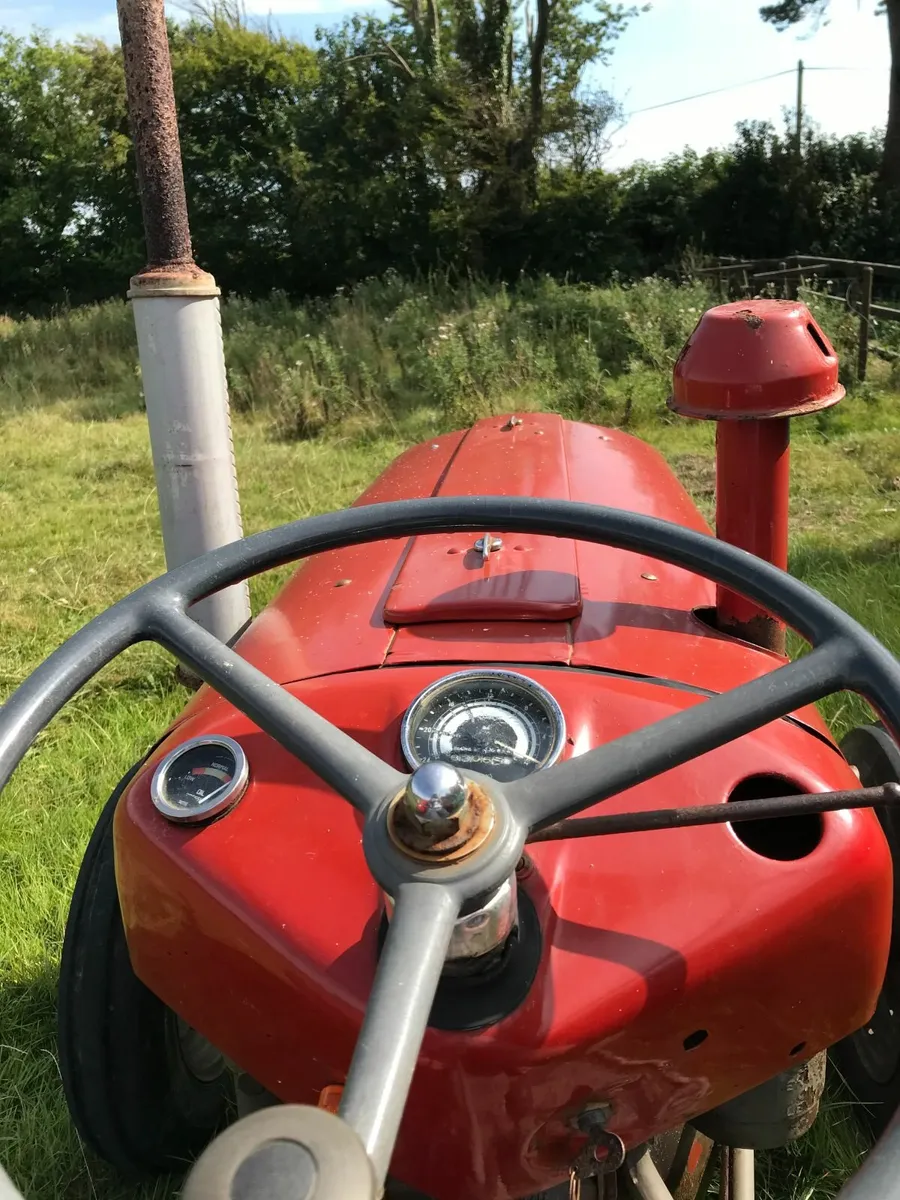 Massey Ferguson 35 Used Daily mower/back box incl - Image 2