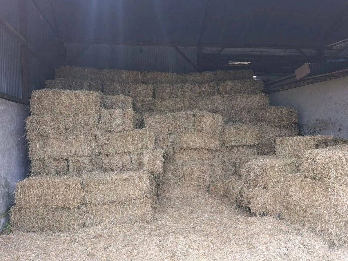 Small square bales of hay - Image 1