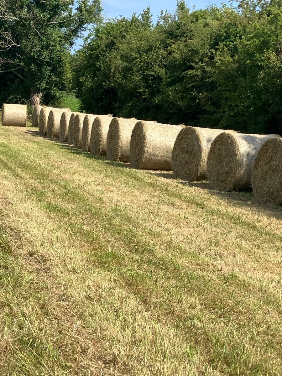 Round Bales Of Hay - Image 1