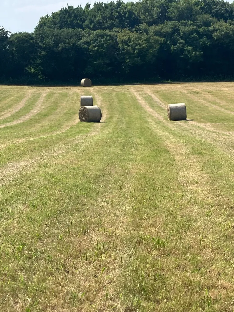 Round Bales Of Hay - Image 2