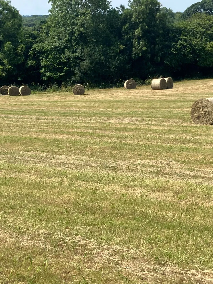 Round Bales Of Hay - Image 3