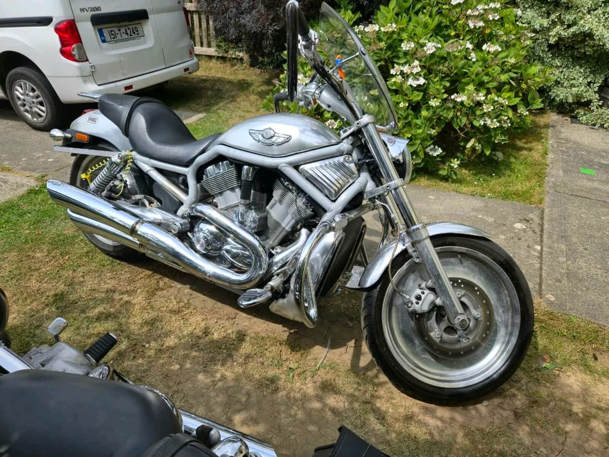 2003 Harley Davidson V-Rod (VRSCA) anniversary - Image 2