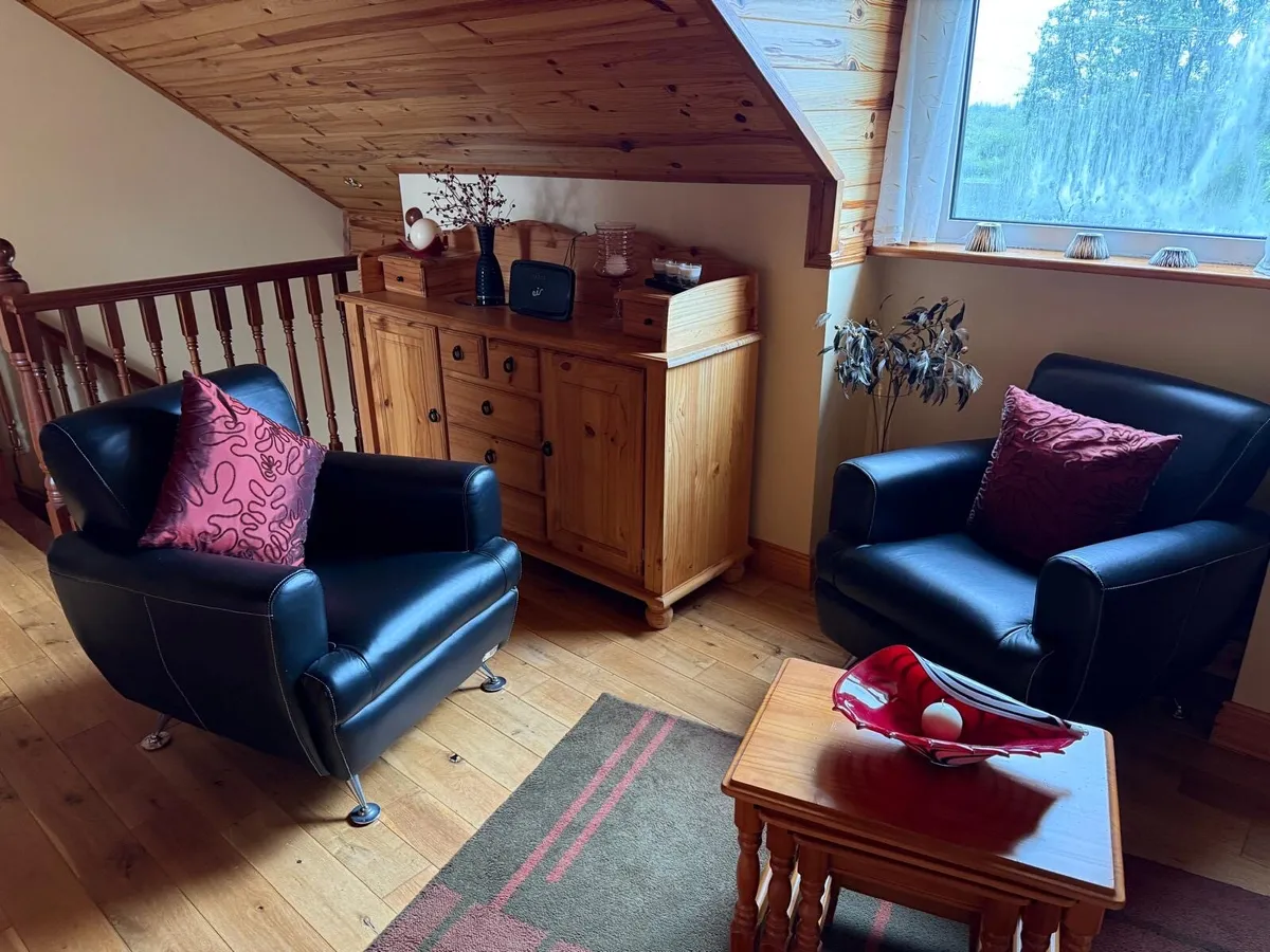 2x leather chairs - Image 2