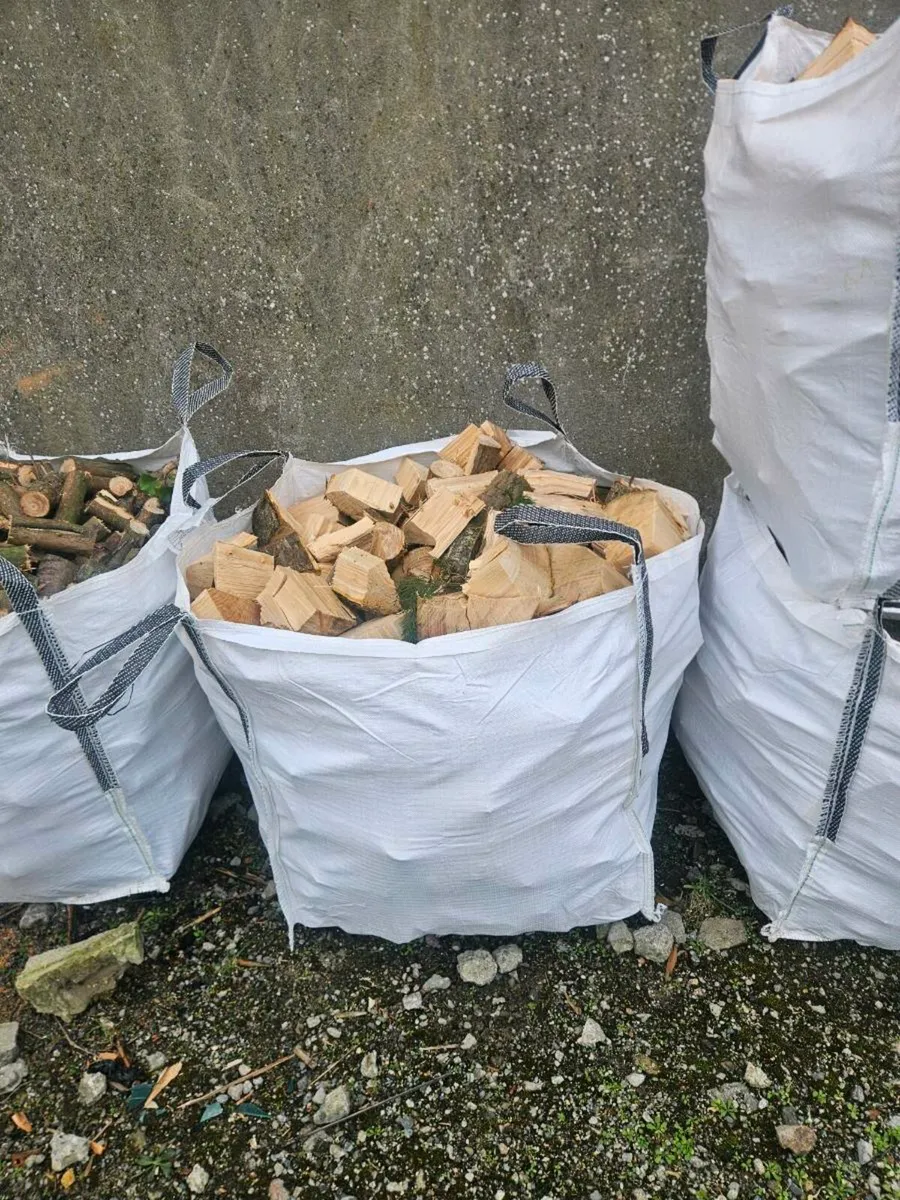 Fire wood - Image 1