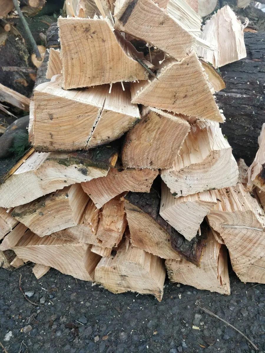 Fire wood - Image 2