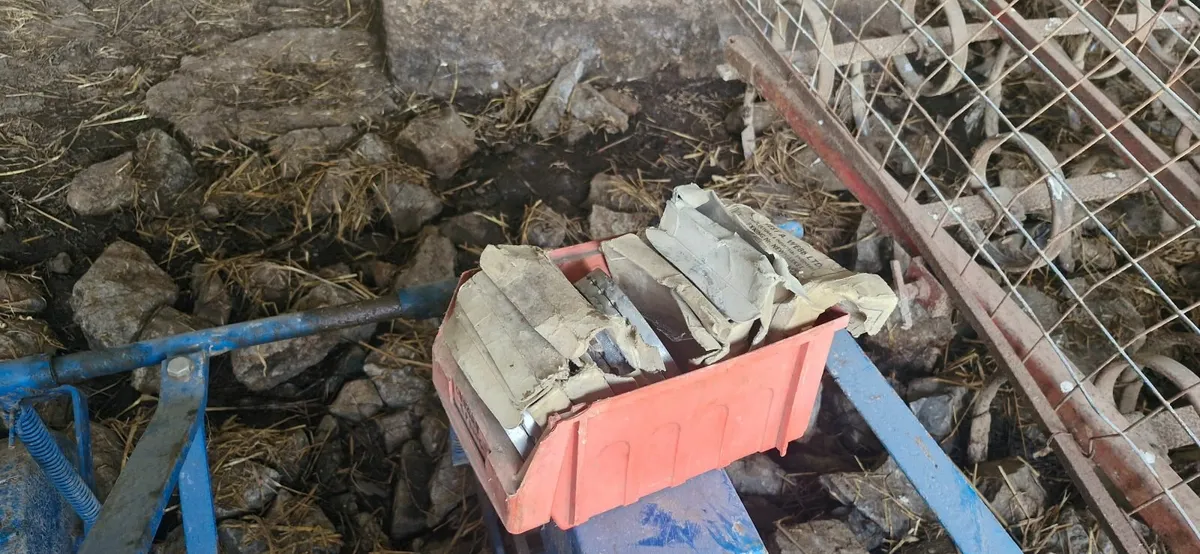 Beet seeder - Image 3